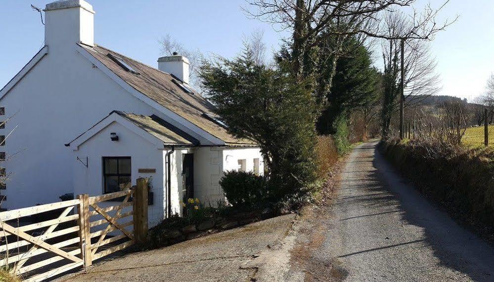 Nant Yr Onnen B&B And Holiday Cottage Tregaron Exterior foto