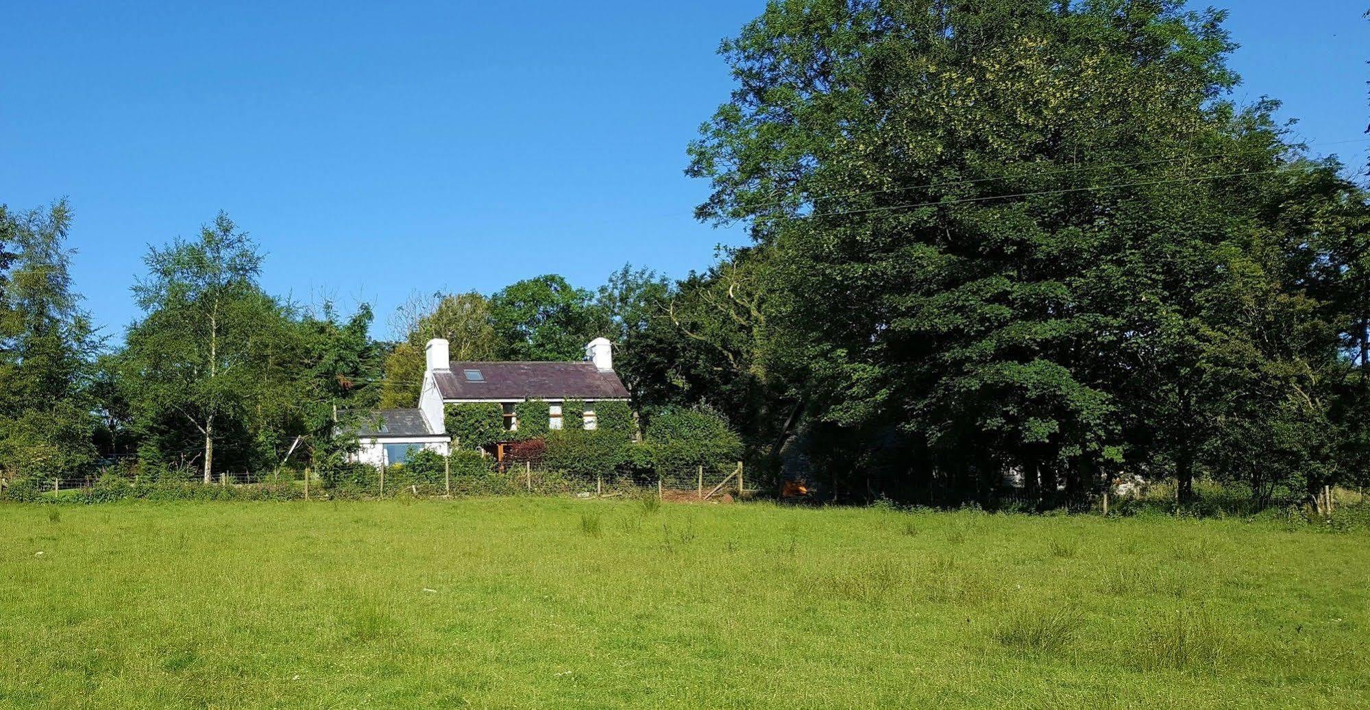 Nant Yr Onnen B&B And Holiday Cottage Tregaron Exterior foto