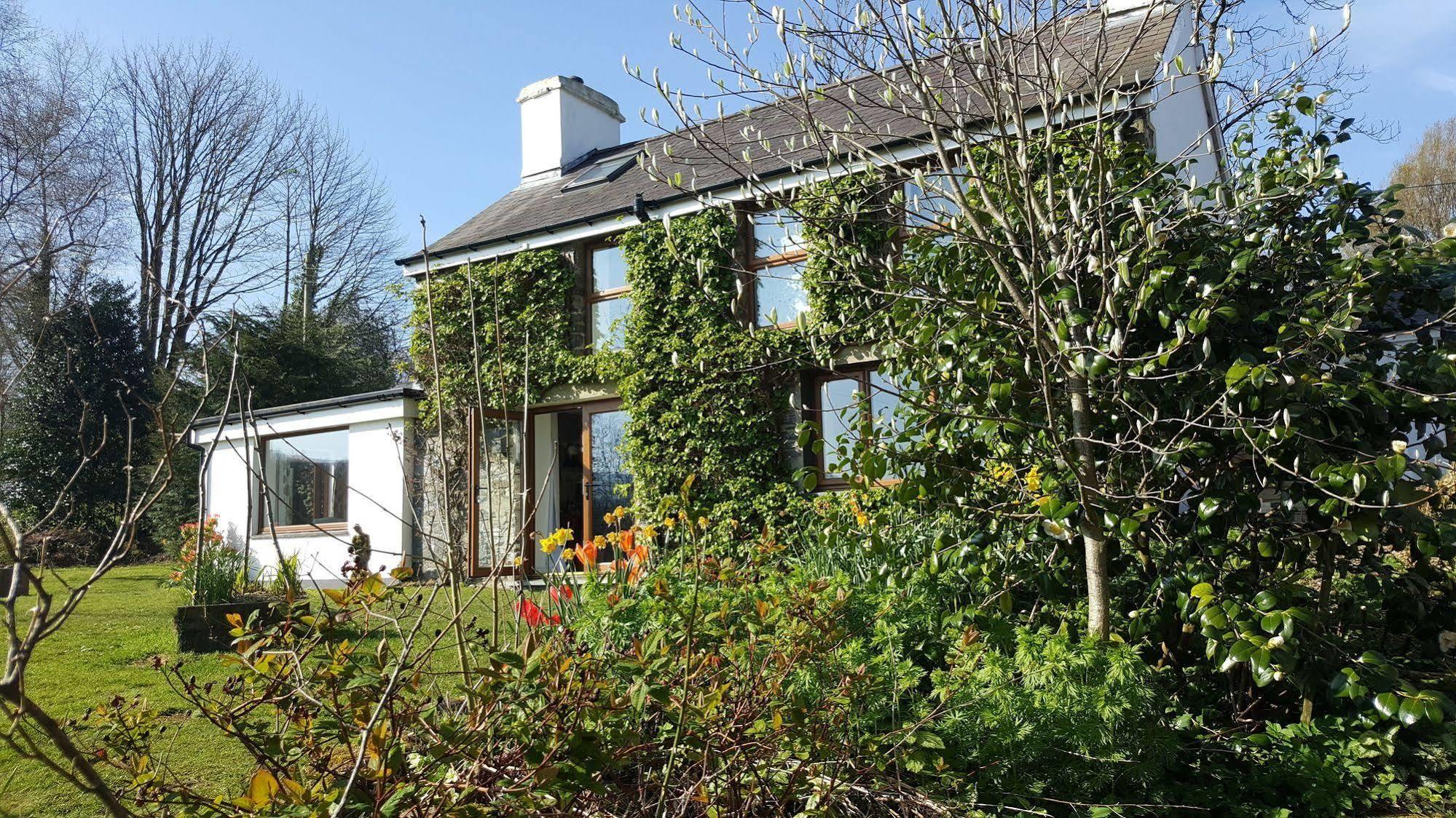 Nant Yr Onnen B&B And Holiday Cottage Tregaron Exterior foto